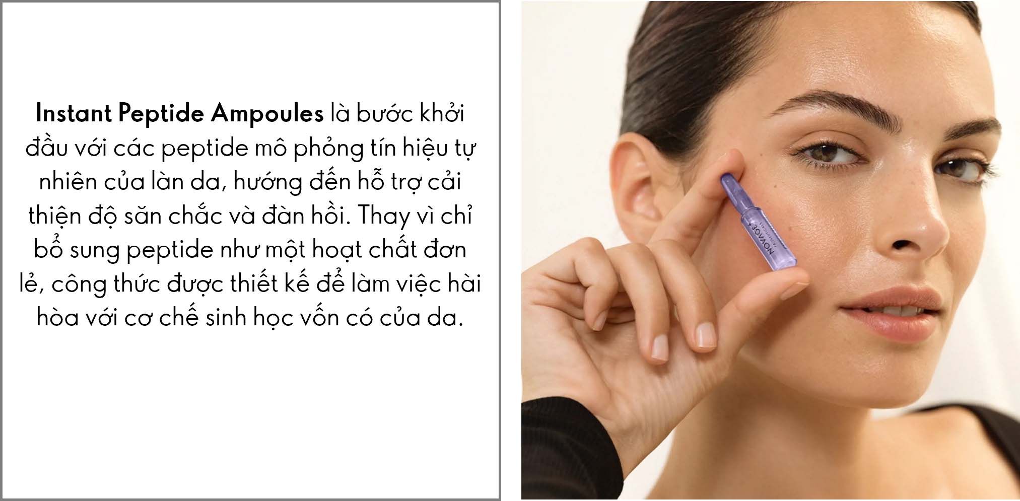 Ảnh 3 gồm text.jpg