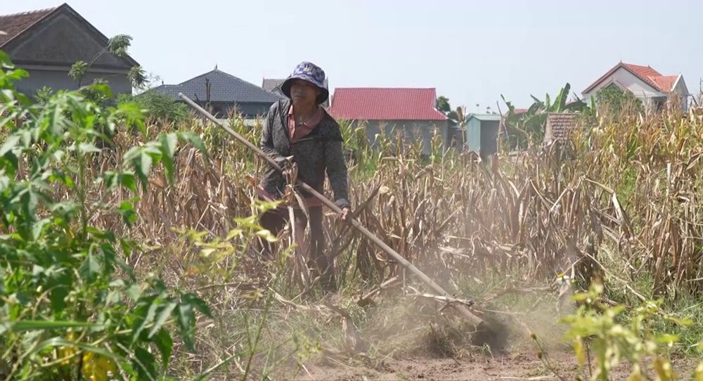 mai am gia dinh viet (20).jpg